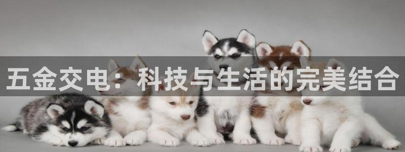 恒行主管首问6ll5l