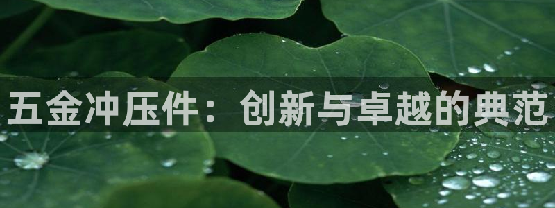 恒行娱乐5ll533主管优雅