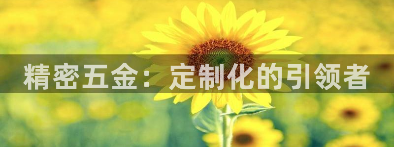 恒行娱乐5ll533主管优雅