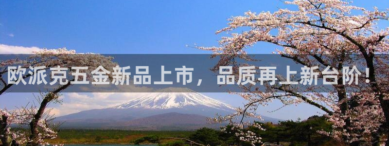 恒行娱乐寻问74 5