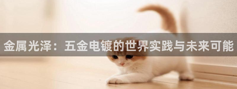 恒行开户全2O5o5O
