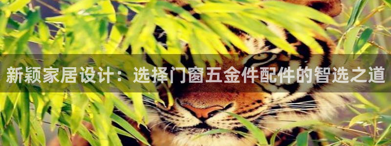 恒行2陈74OOO5