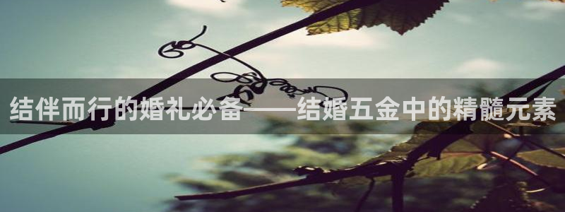 恒行2杨74OOO5