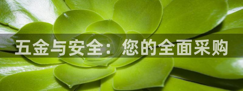 恒行2陈74OOO5