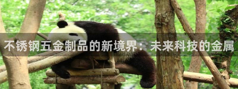 恒行2郑74OOO5