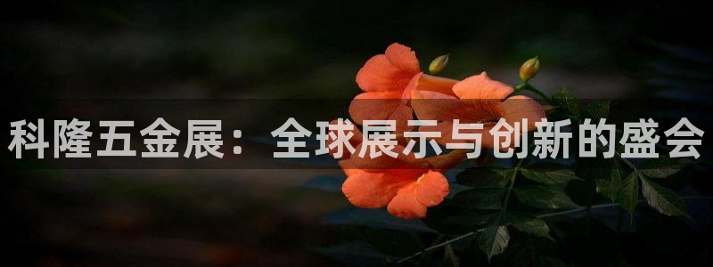 恒在5行中代表什么数字