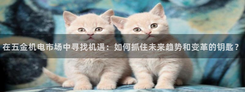 恒行2杨74OOO5