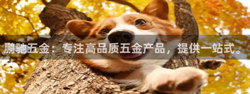 恒行2杨74OOO5