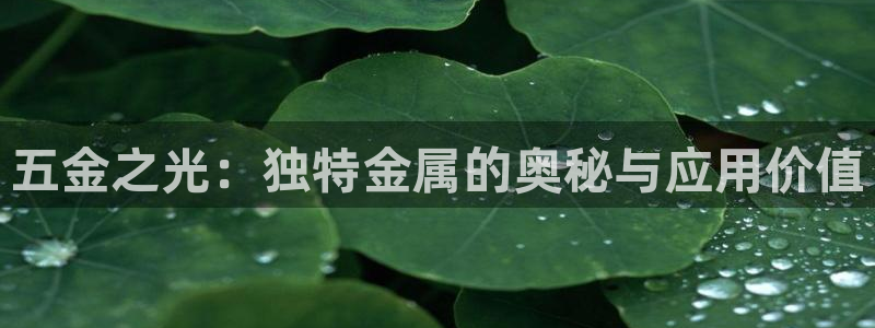 恒行彩票亏5千