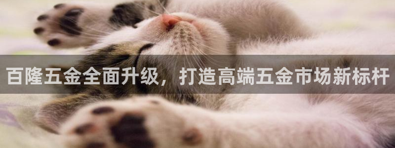 恒行主管招收 6ll5l出奇