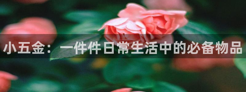 恒行娱乐招收点赞5ll533主管
