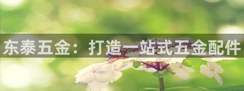 恒行娱乐陈74OOO5