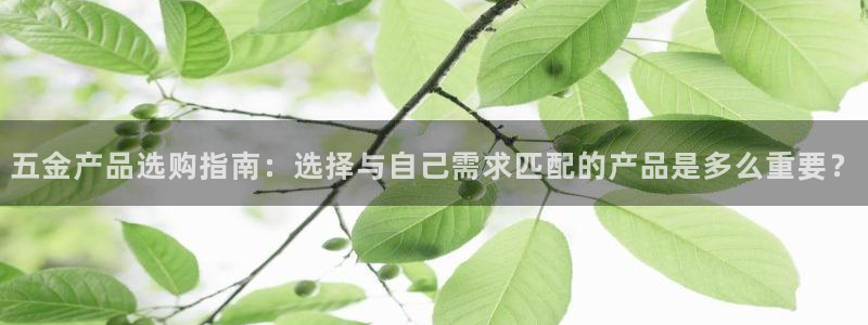 恒在5行中代表什么数字