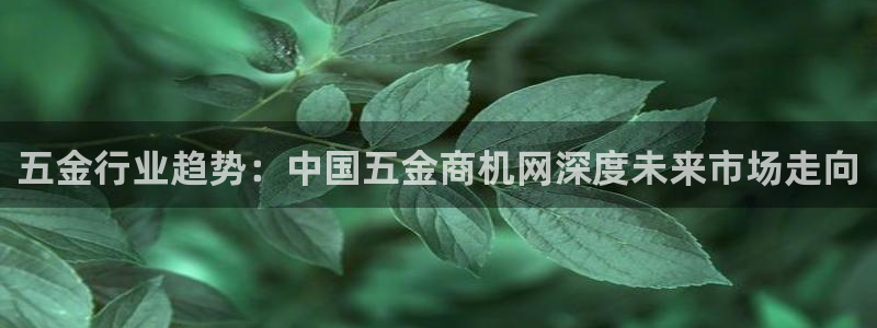 恒行娱乐招收点赞5ll533主管