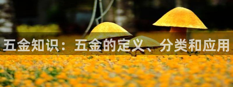 恒行娱乐郑74OOO5