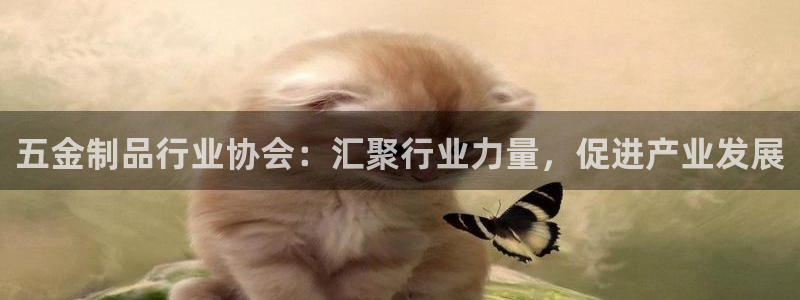 恒行娱乐热74ooo5主宰