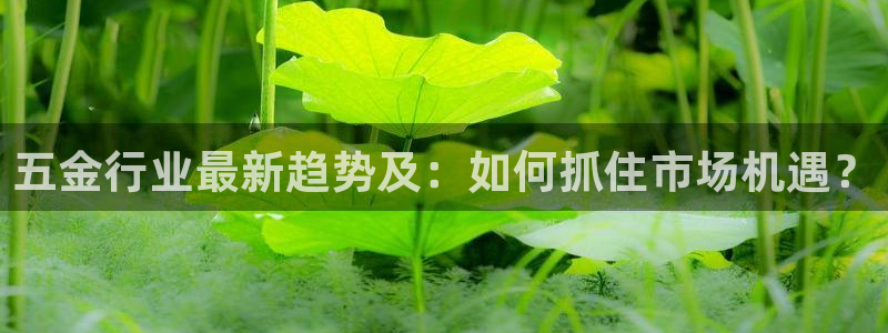 恒行主管总代6ll5l周至