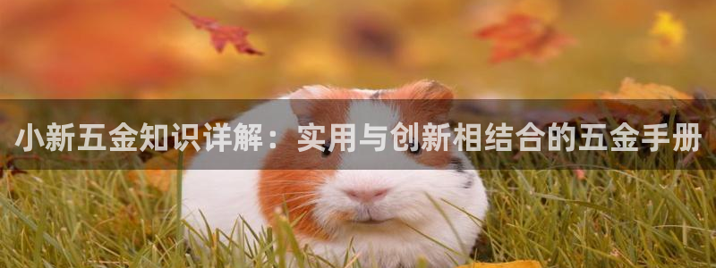 恒行开户娱乐赞议6ll5l