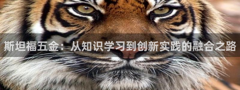 恒行2下74OOO5
