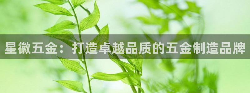 恒指5行情 如来再我心