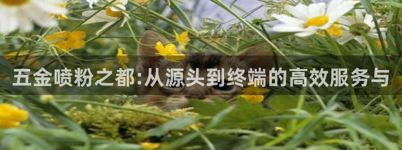 恒行娱乐郑74OOO5