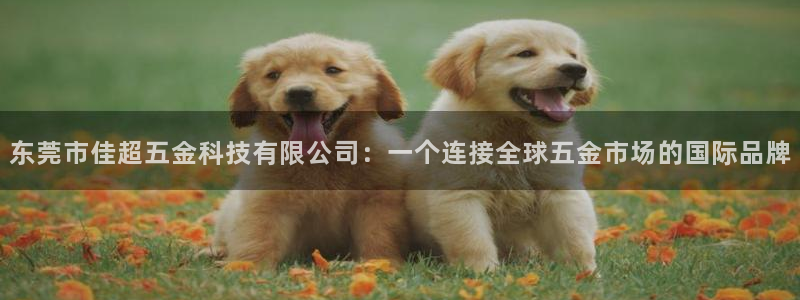 恒行2王74OOO5