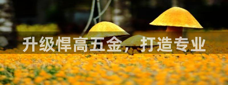恒行2郑74OOO5