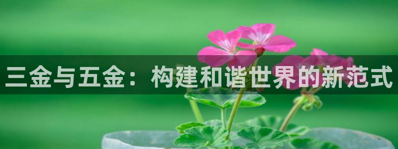 恒指5行情 如来再我心