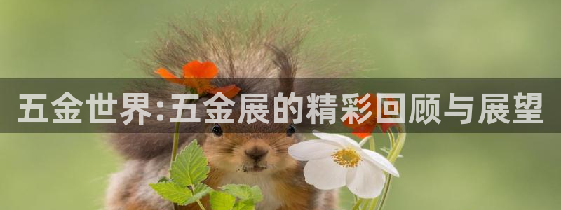 恒行娱乐周74OOO5