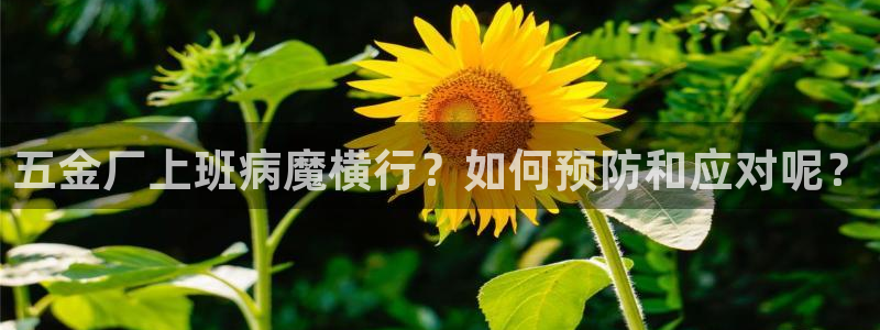 恒行开户娱乐6ll5l特惠