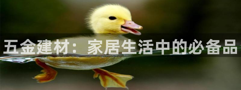 恒行开户全2O5o5O