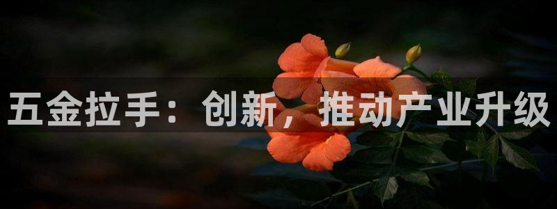 恒行招商老大诚挚 6ll5l