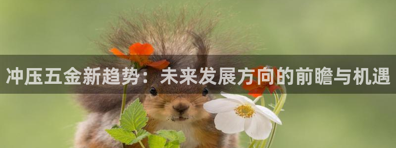 恒行娱乐5ll533主管优雅