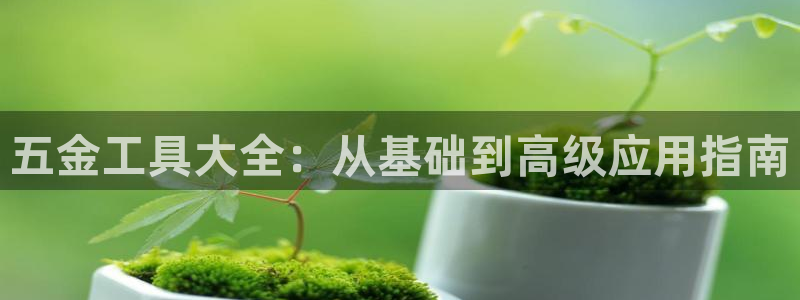 恒在5行中代表什么数字