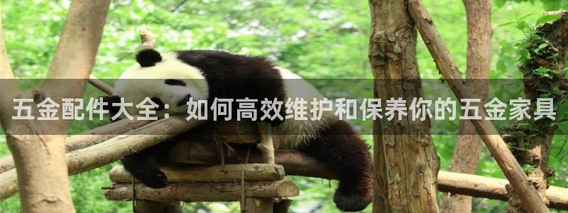 恒行娱乐周74OOO5