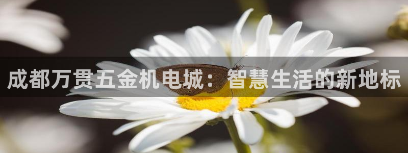 恒在5行中代表什么数字