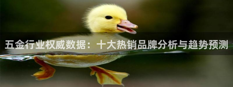 恒行娱乐毓婆74ooo5仪