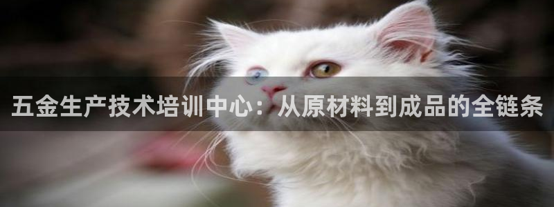 恒行娱乐毓婆74ooo5仪