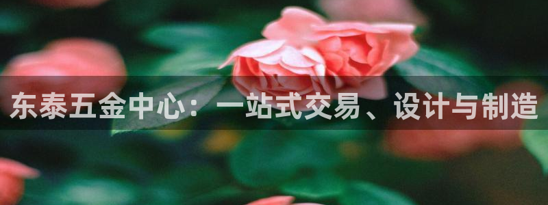 恒行娱乐吴74OOO5