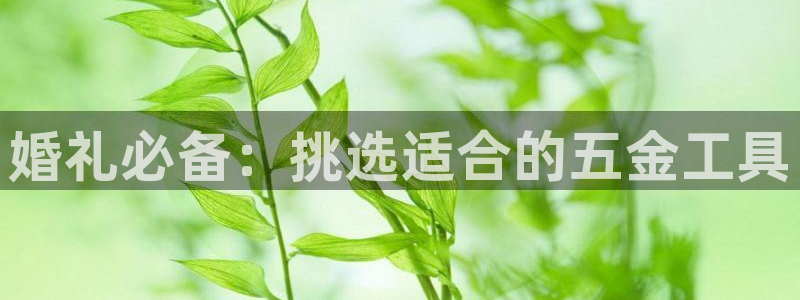 恒在5行中代表什么数字